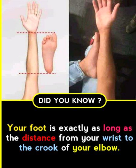 Interesting Posts image