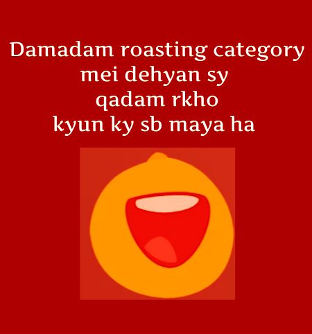 Damadam Roasting image