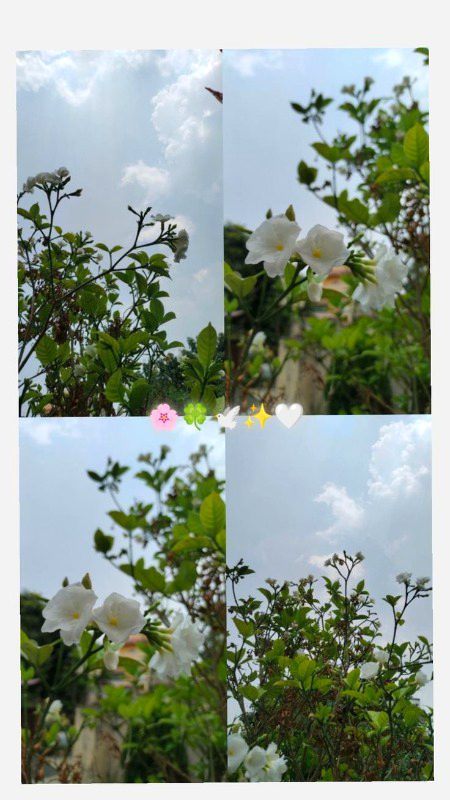 Ψ§ΩΨ± Ϊ©ΪΪΎ Ψ±ΩΩΩΫΪΊ Ψ§ΩΎΩΫ Ψ°Ψ§Ψͺ Ψ³Ϋ ΫΩΨ§ Ϊ©Ψ±ΨͺΫ ΫΫΪΊ )