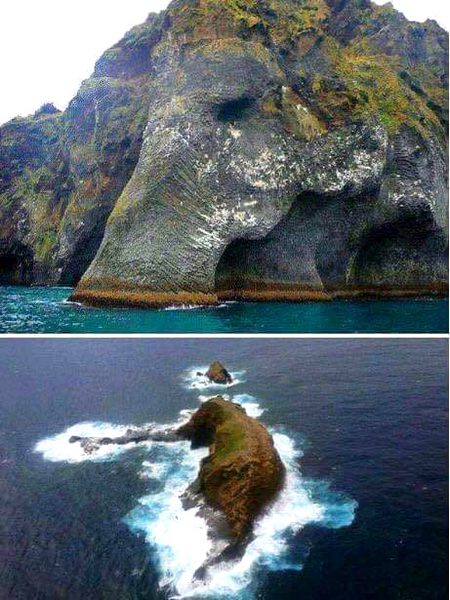 Beautiful Nature image