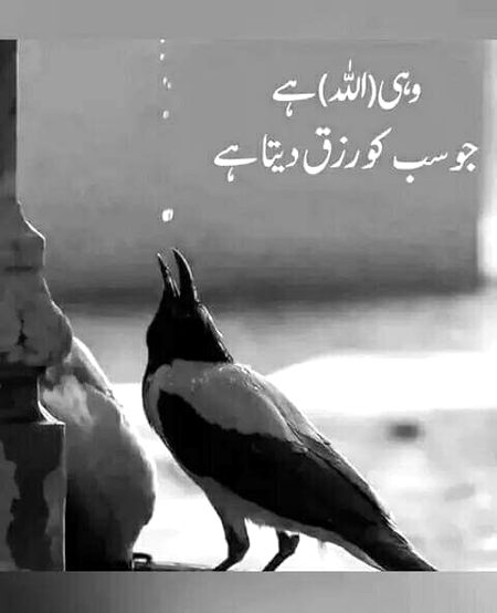 Islamic Quotes image