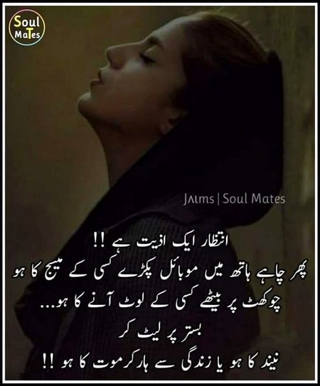 کیا خوب لکھا کسی نے بھیجیں 😍😍🌻🌷🌺🌸💖💕