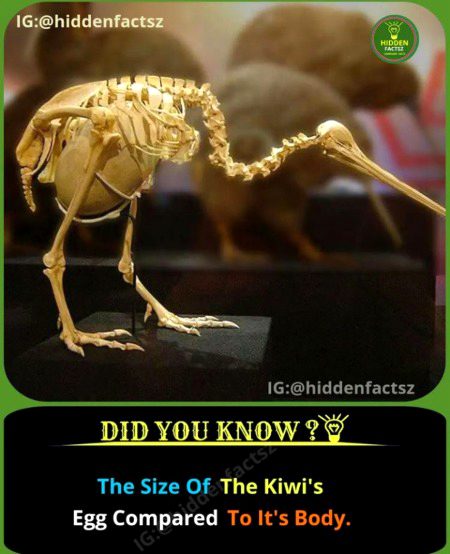 Interesting Posts image