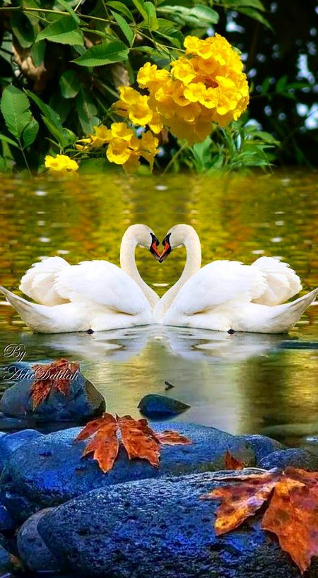 Beautiful Nature image