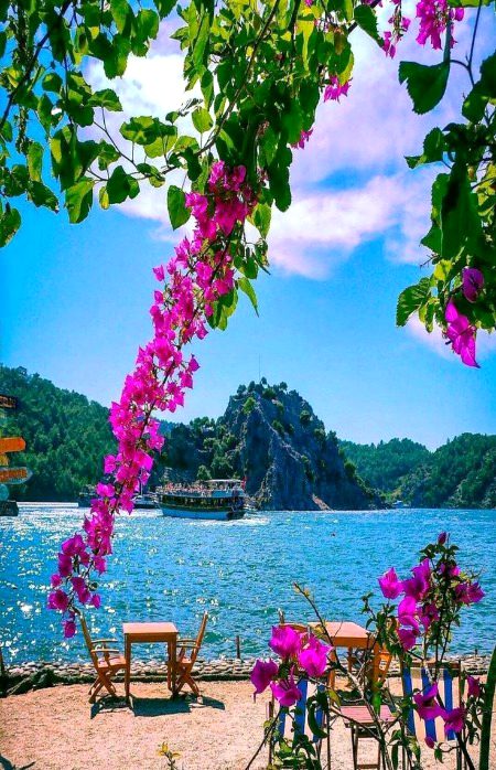 Beautiful Nature image