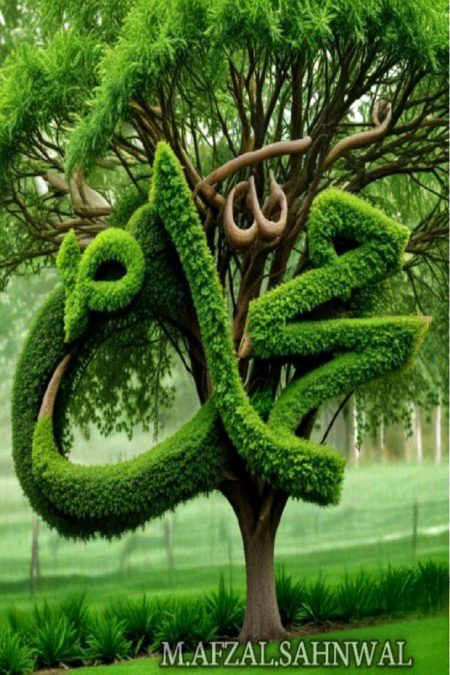 Beautiful Nature image