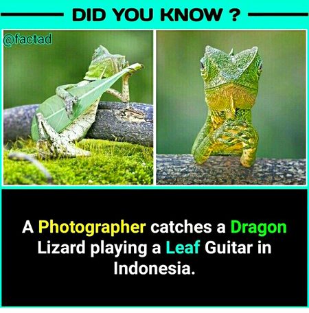 Interesting Posts image