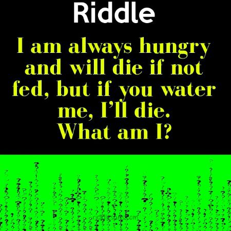Riddles & Puzzles image