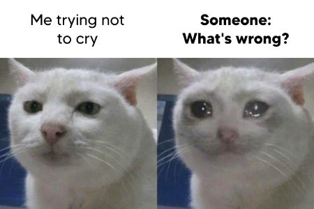 Memes & Satire image