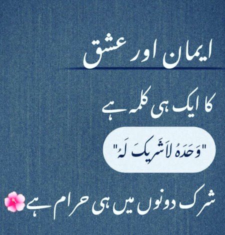 میری تکمیل میں شامل ہیں کچھ تیرے حصے 
❣️ہم اگر تجھ سے نہ ملتے تو ادھورے رہتے