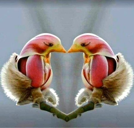 Beautiful Nature image