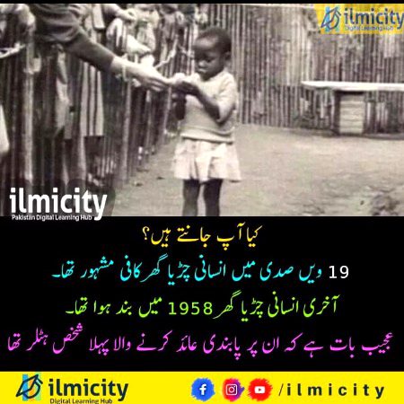 Interesting Posts image