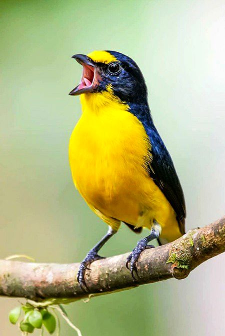 Beautiful Nature image