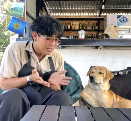 When I share my problems with my dog: