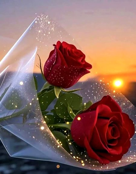 Beautiful Nature image