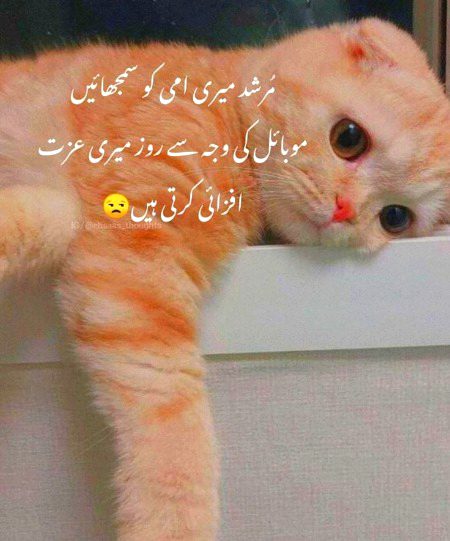 Jokes image