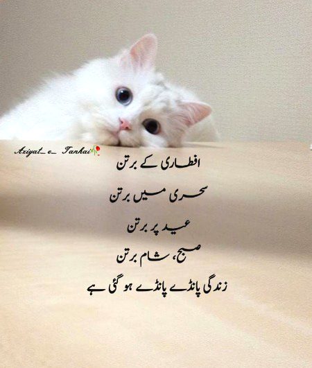 han☹️☹️☹️