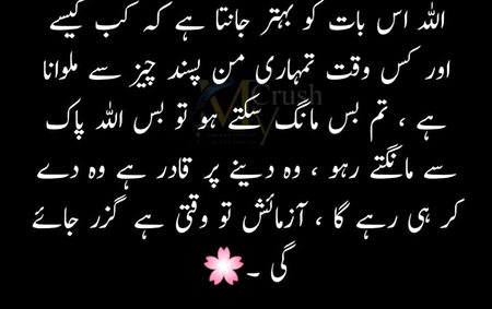 Islamic Quotes image