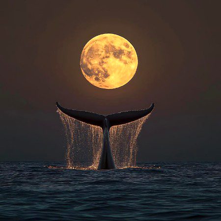 Beautiful Nature image