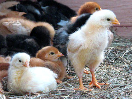 Beautiful Nature image