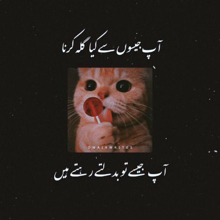 Attitude Poetry image