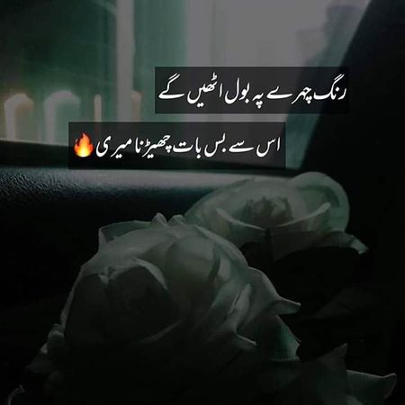 سنا ہے تیرے شہر سے وفا ملتی ہے۔۔۔۔
ٹوٹے ہوئے دلوں کی دوا ملتی ہے۔۔۔
بس یہی سن کر ہم آئے تھے تیرے شہر۔۔۔  پر یہاں تو دل لگانے کی بھی سزا ملتی یے۔۔۔