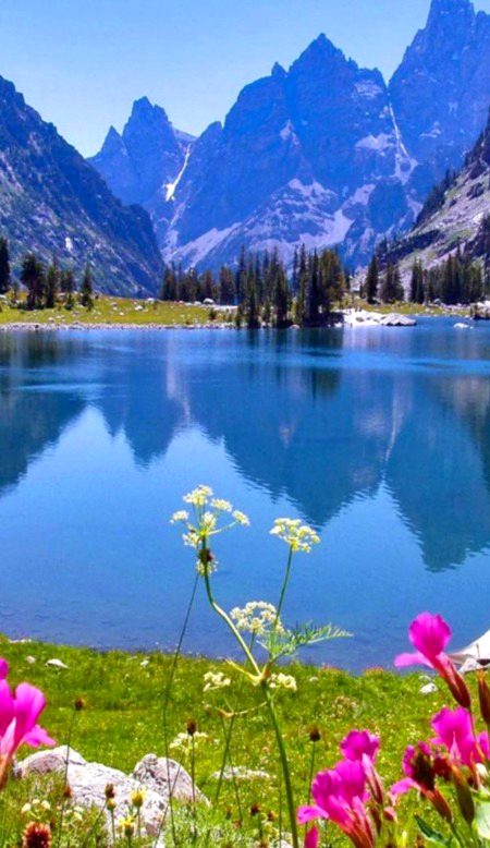 Beautiful Nature image