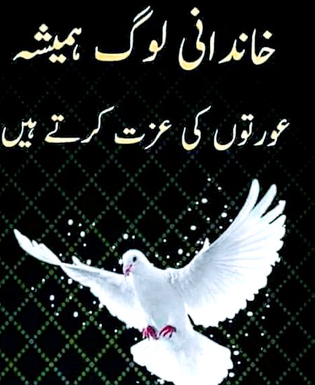زویا جی _💞😍