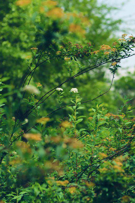 Beautiful Nature image