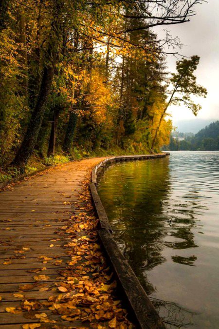 Beautiful Nature ❣️❣️