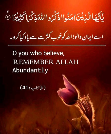 Islamic Quotes image