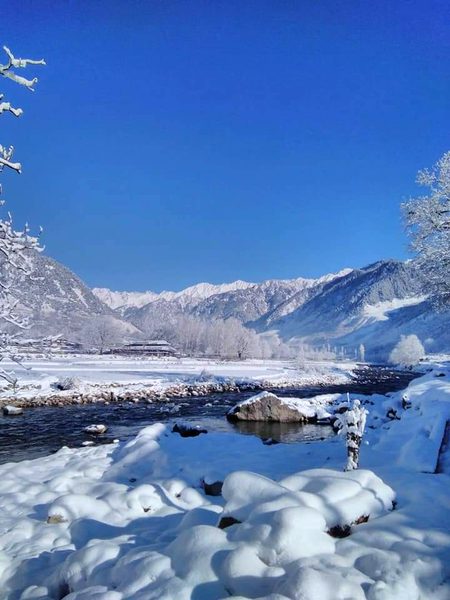 Beautiful Nature image