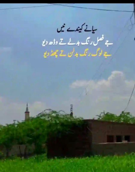 Sayany shi kehdy ny