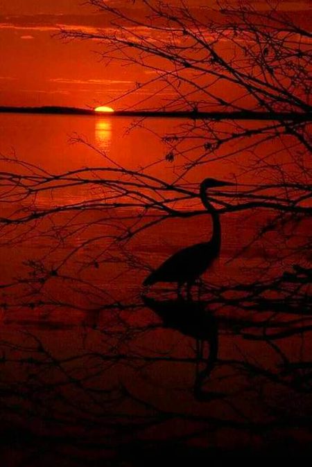 Beautiful Nature image