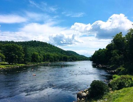 Beautiful Nature image