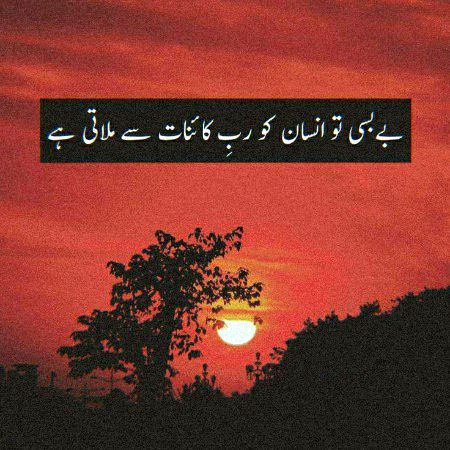 Bilkul 💞