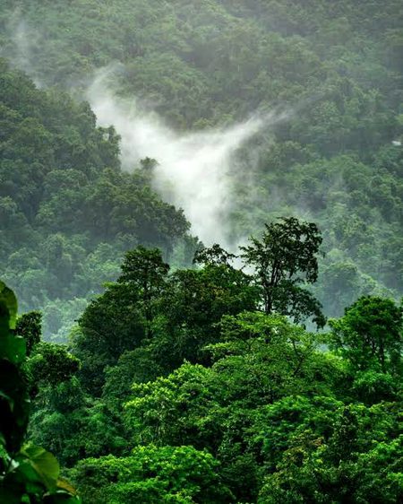 Beautiful Nature image