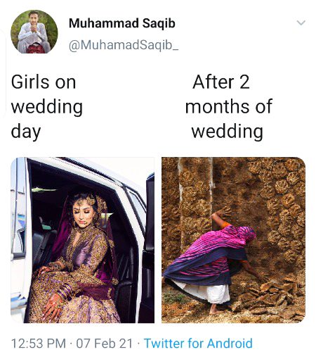 Memes and Satire