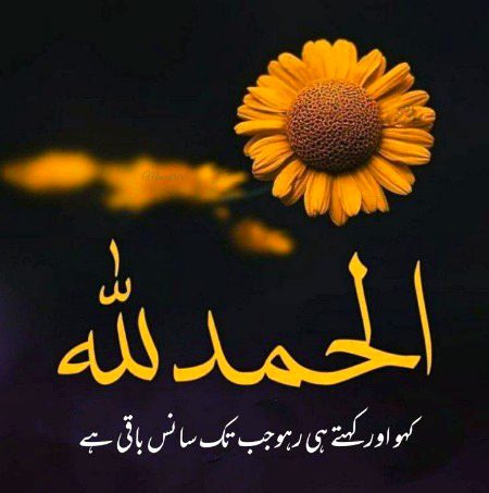 Islamic Quotes image