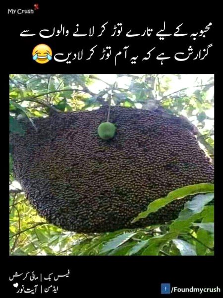 Memes & Satire image