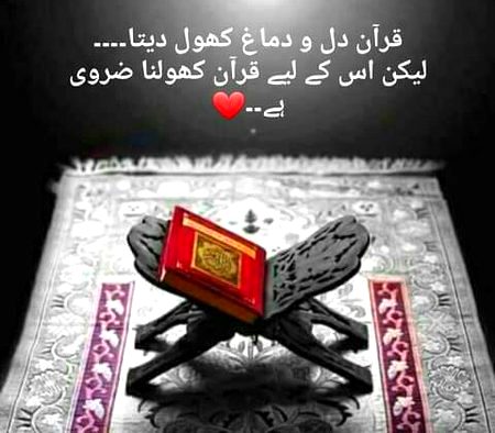 Bilkul 💯💯💯😇
