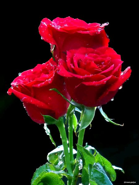 Beautiful Nature image