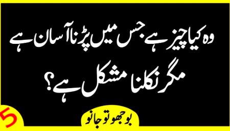 Riddles & Puzzles image