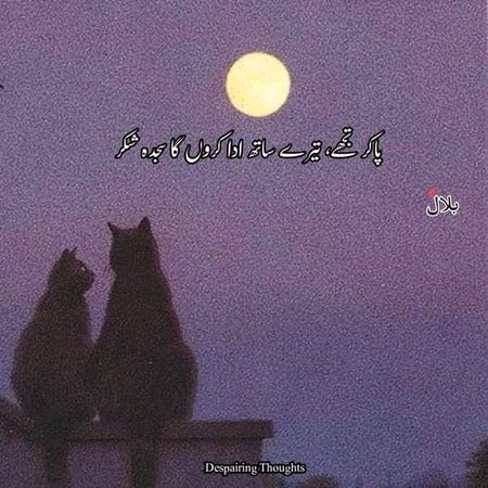 سچ ہے جس کو پانے کے لے رب کو منتیں کر رہی ہوں