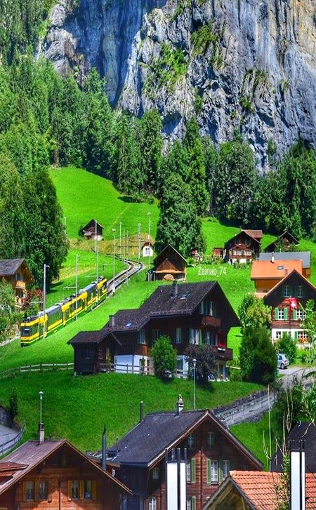 Beautiful Nature image