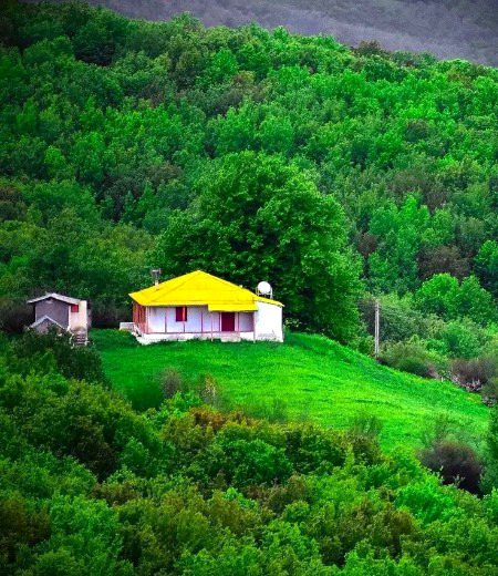 Beautiful Nature image