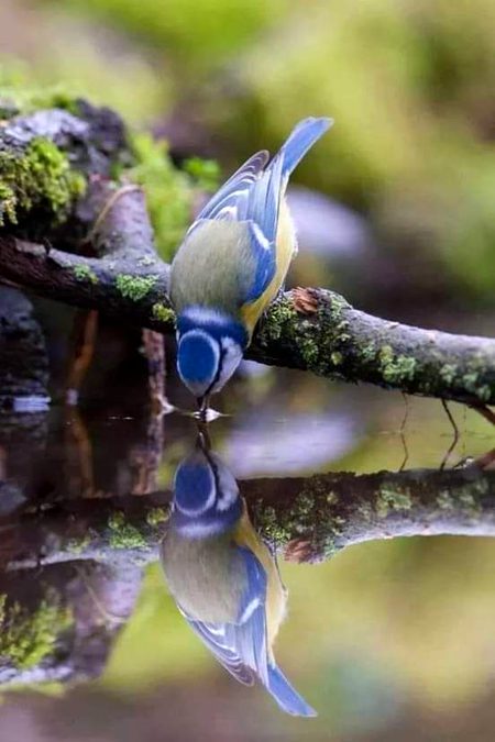 Beautiful Nature image