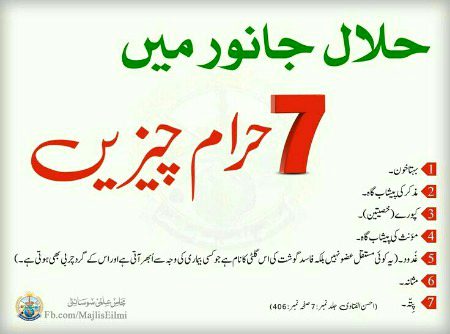 Interesting Posts image