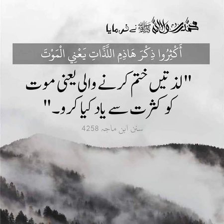 Islamic Quotes image