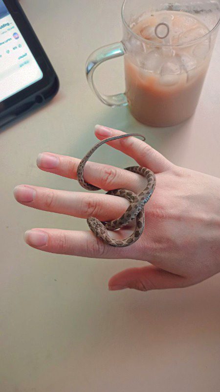 آنکھ سے دور سہی دل سے کہاں جائے گا
جانے والے تو ہمیں یاد بہت آئے گا🥹😔